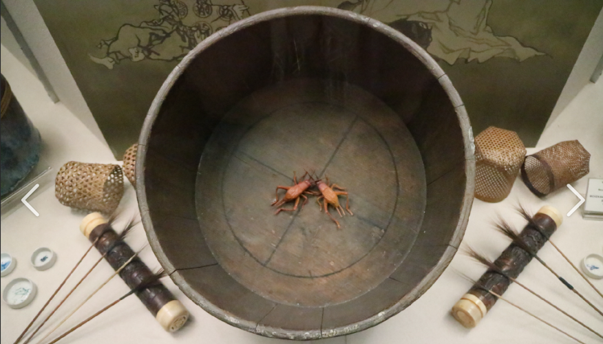 寒露丨秋天玩什么　钓鱼佬跨越千年共情了