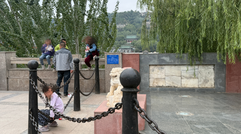 不文明行为“扎堆”