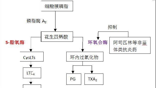 新增确诊 2086 例（含无症状感染者），广东通报