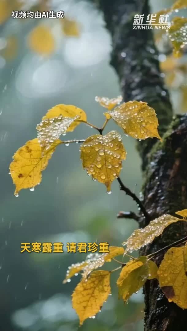 秀我中国｜AI科普：寒露天渐寒，养生牢记“四不冻”