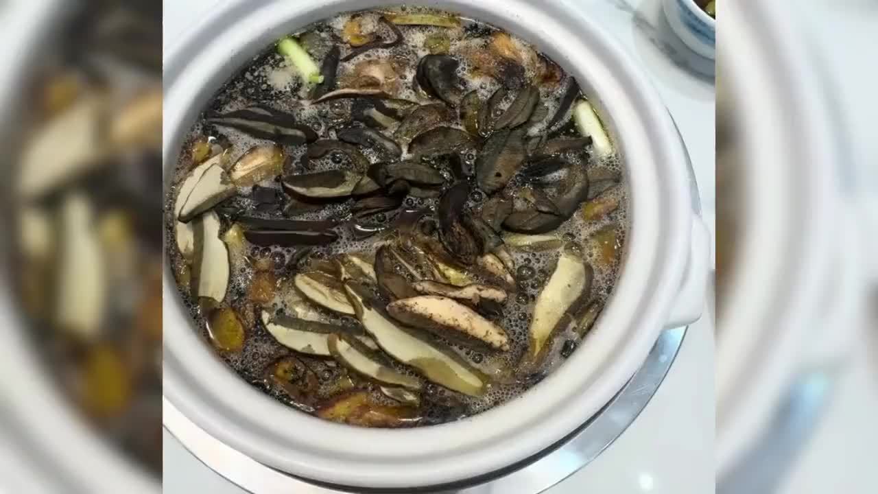 游客在菌锅里看到一群“会动的高蛋白”，云南朋友们，这正常吗？