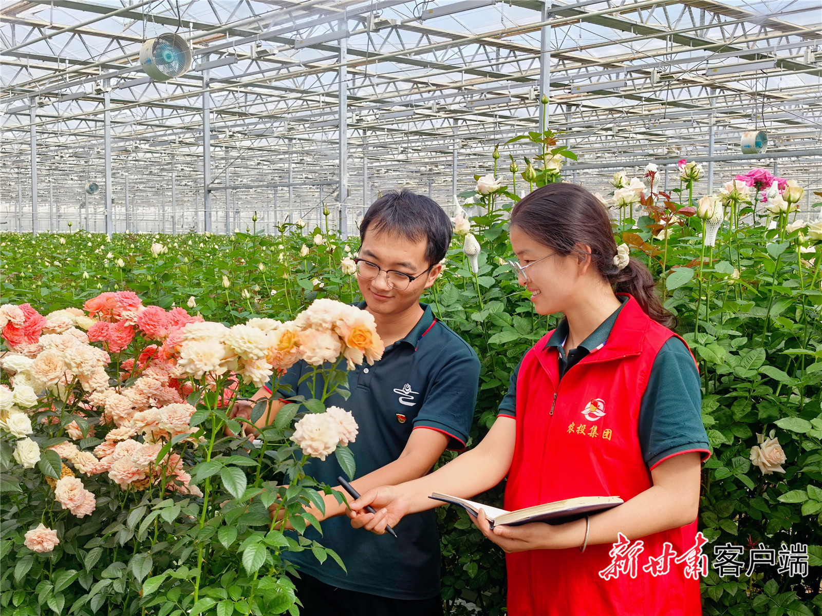 农投集团现代农业示范园里，一派生机勃勃的景象。