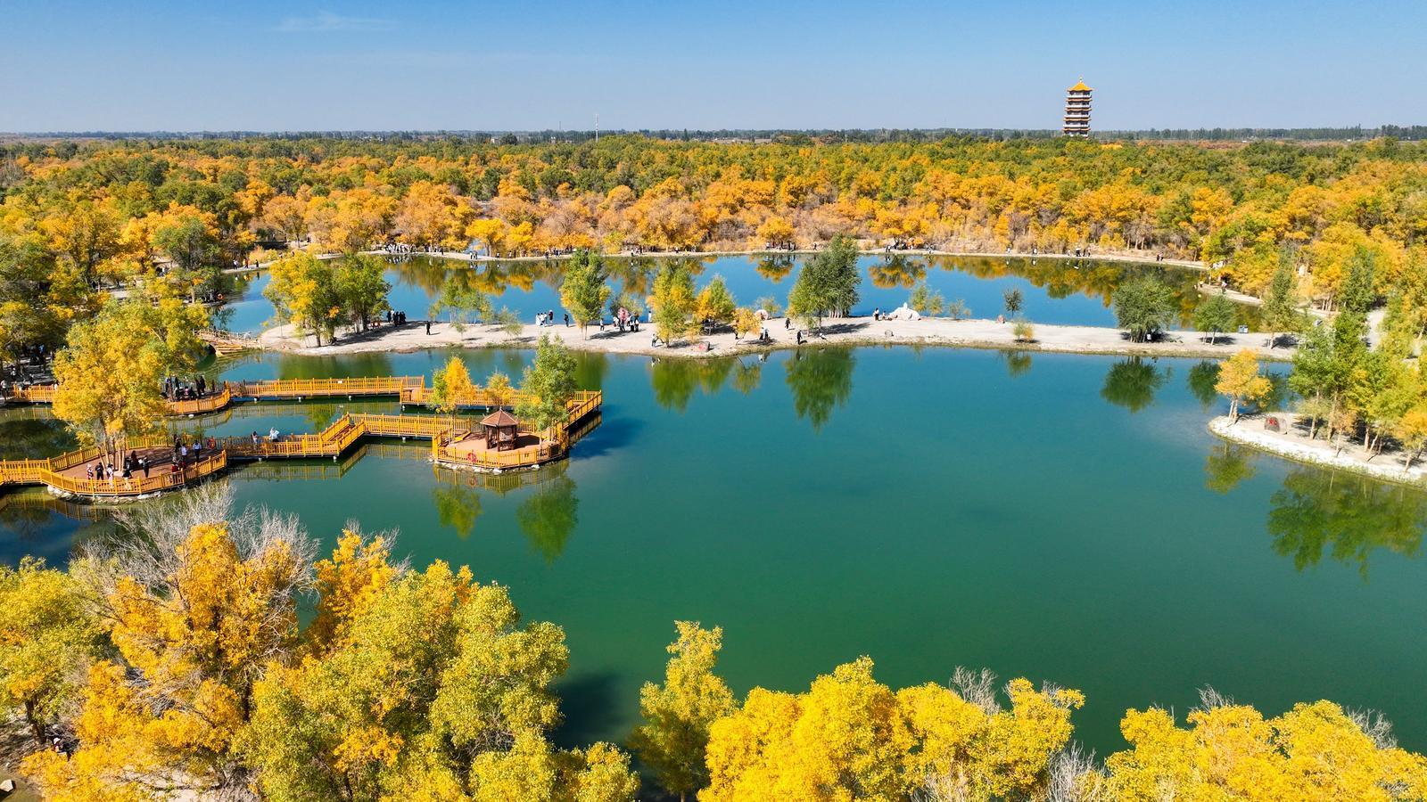 酒泉金塔沙漠胡杨林景区风景如画