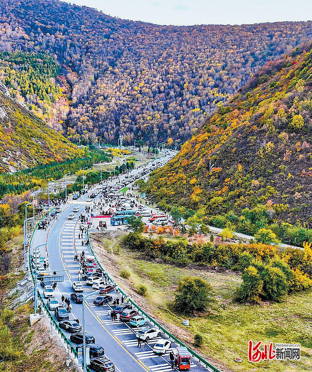 10月4日，游客在张家口市崇礼区梧桐大道赏秋景。 河北日报记者 耿辉摄