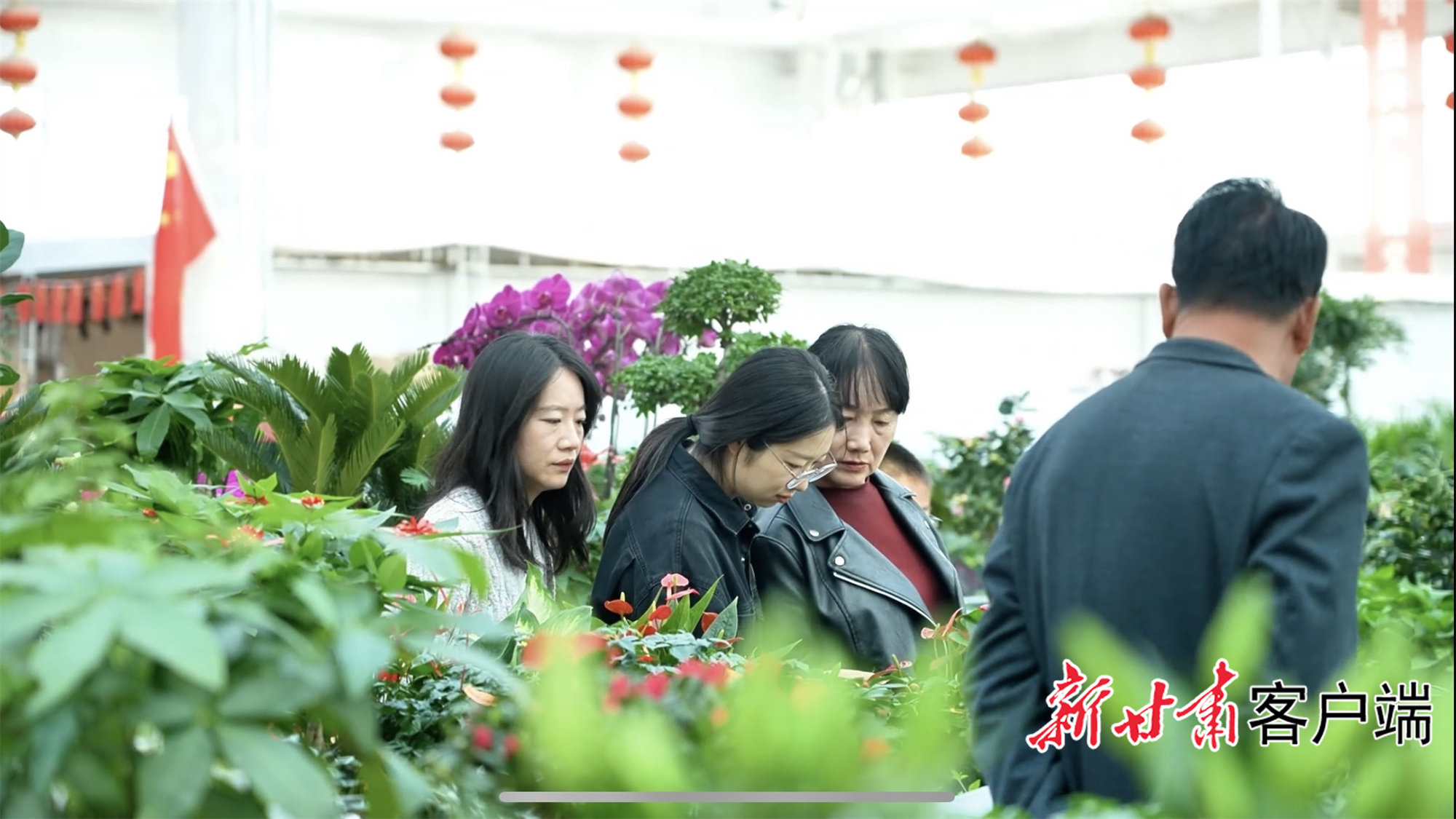 花卉交易中心内,游客选购鲜花。本文图片视频均由新甘肃·甘肃日报记者 魏晓倩 摄制