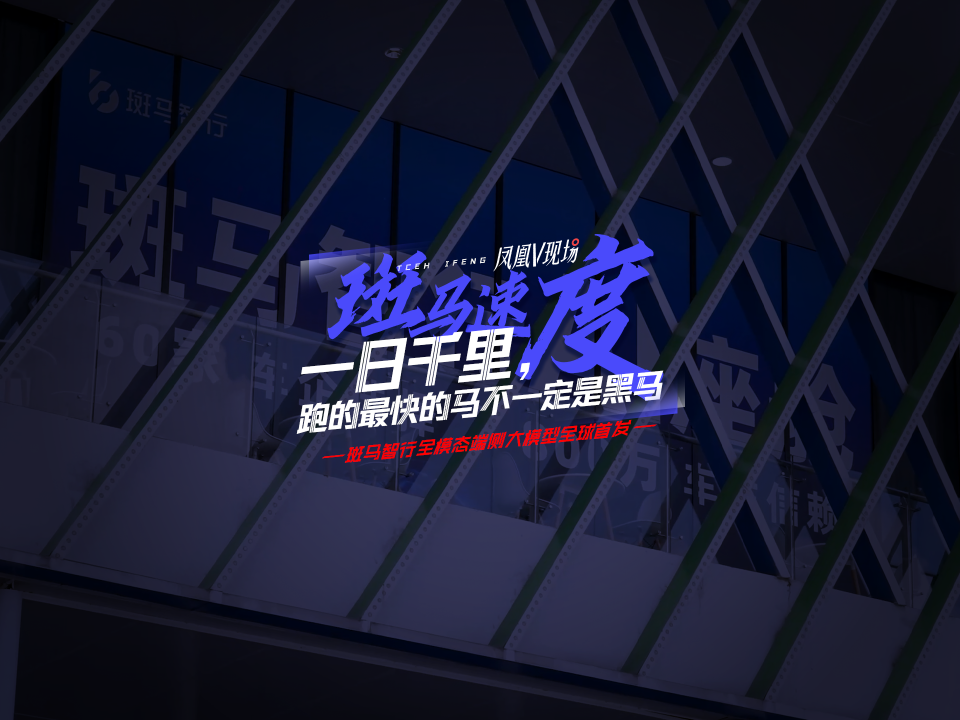 斑马速度，一日千里，跑的最快的马不一定是黑马