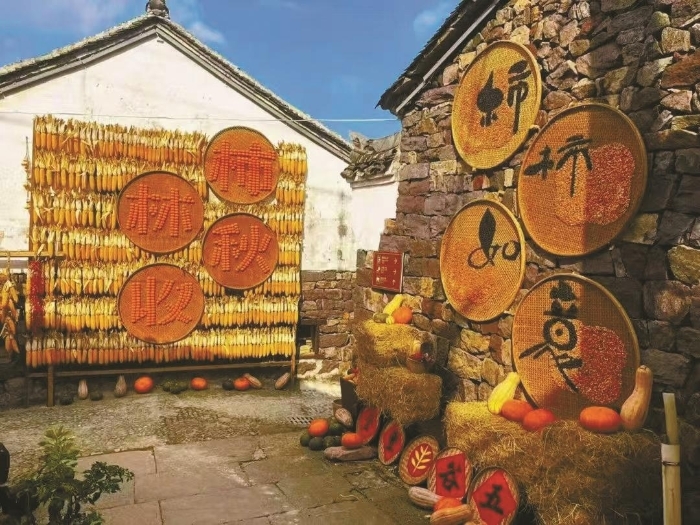 余姚大岚的柿林晒秋。