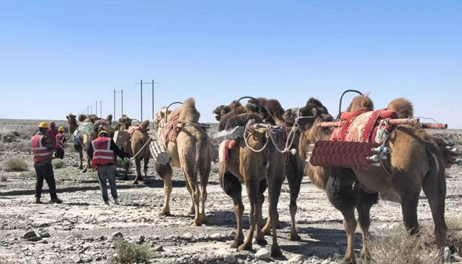 甘肃省沙漠骆驼队 B89C2AD5D0AE02604D41D4D6914BCBFC6DDBE6D8_size357_w650_h371.png