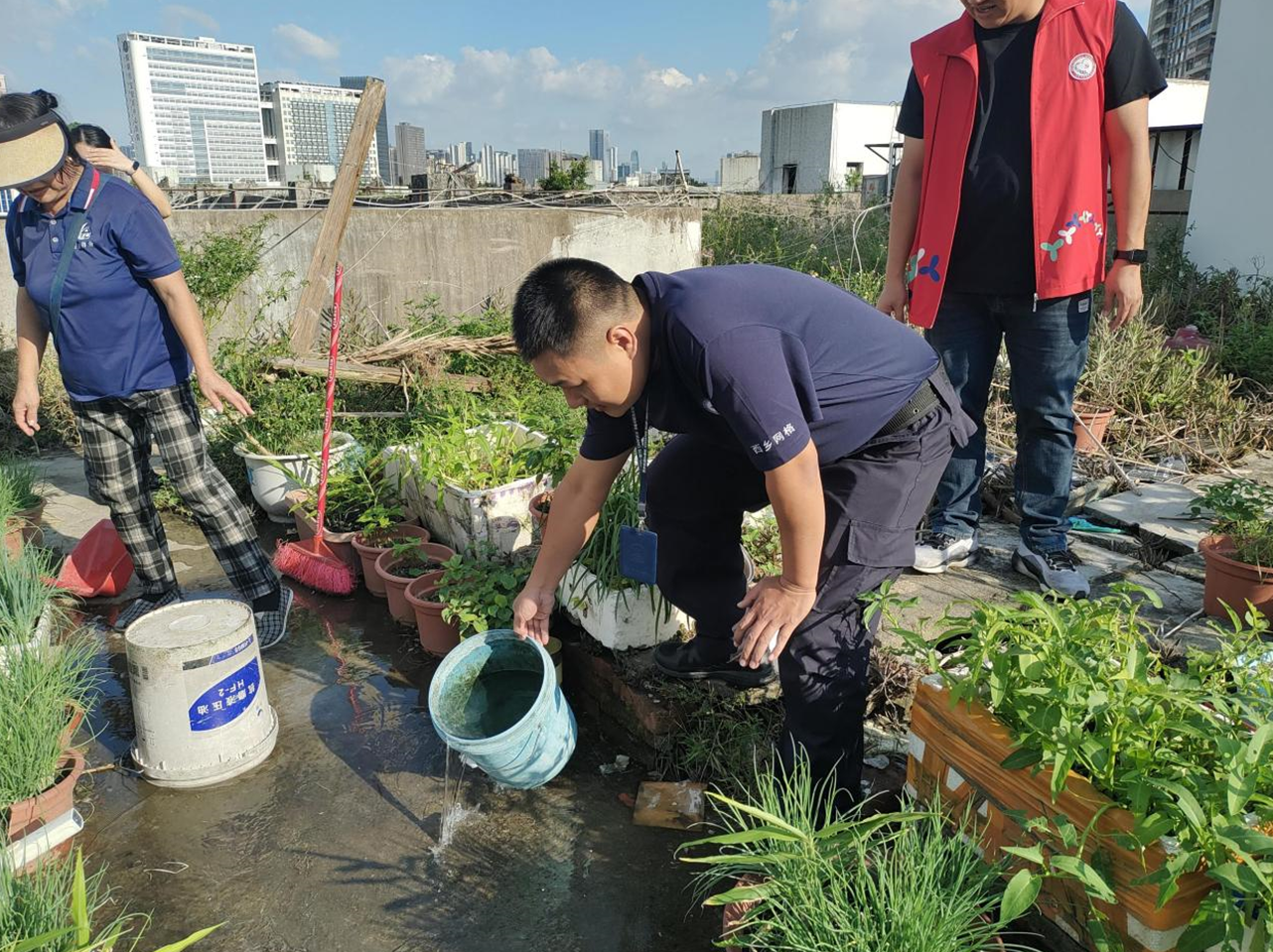 全民动手分片净化环境 西乡龙腾社区推动爱国卫生运动走深走实