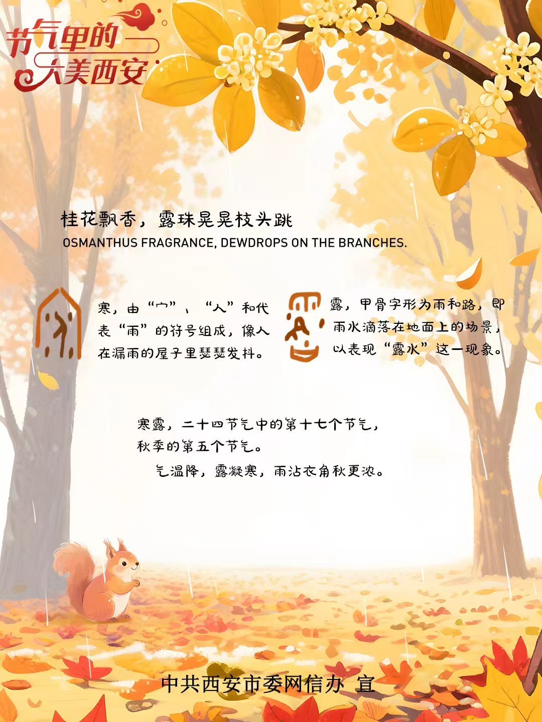 节气里的大美西安 | 今日寒露 藏在秋韵里的浪漫与烟火