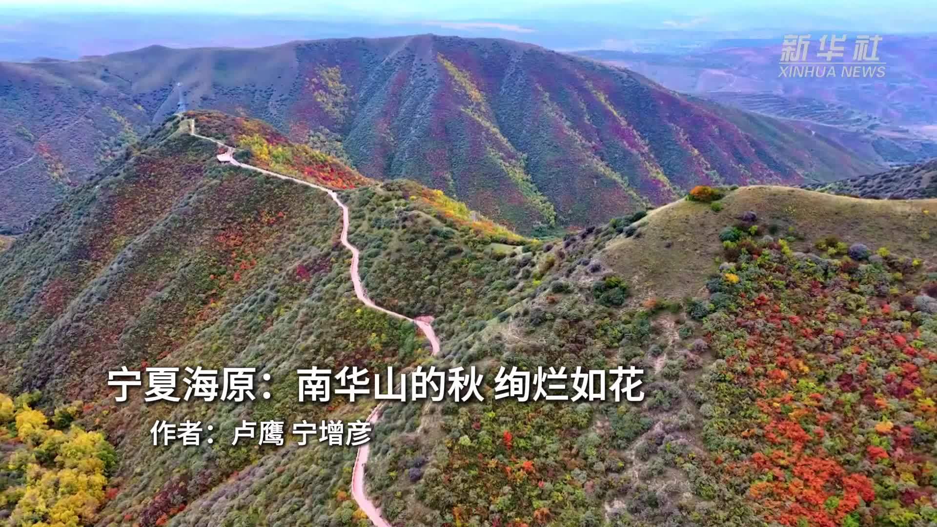 宁夏海原：南华山的秋 绚烂如花