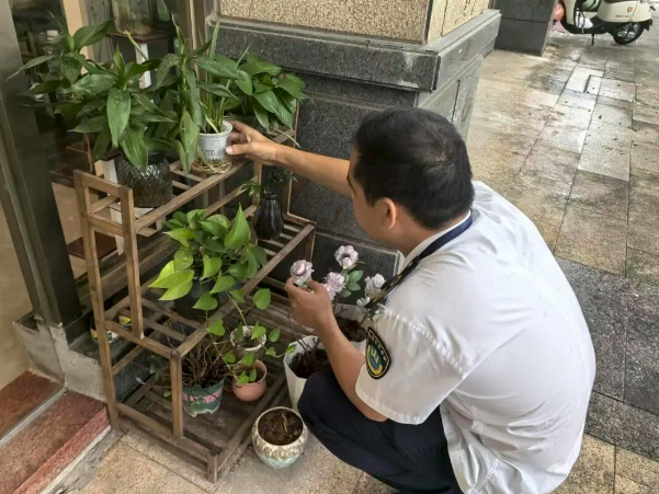 假期近尾声 防控不松劲 珠海中山各区镇持续筑牢蚊媒传染病防控屏障