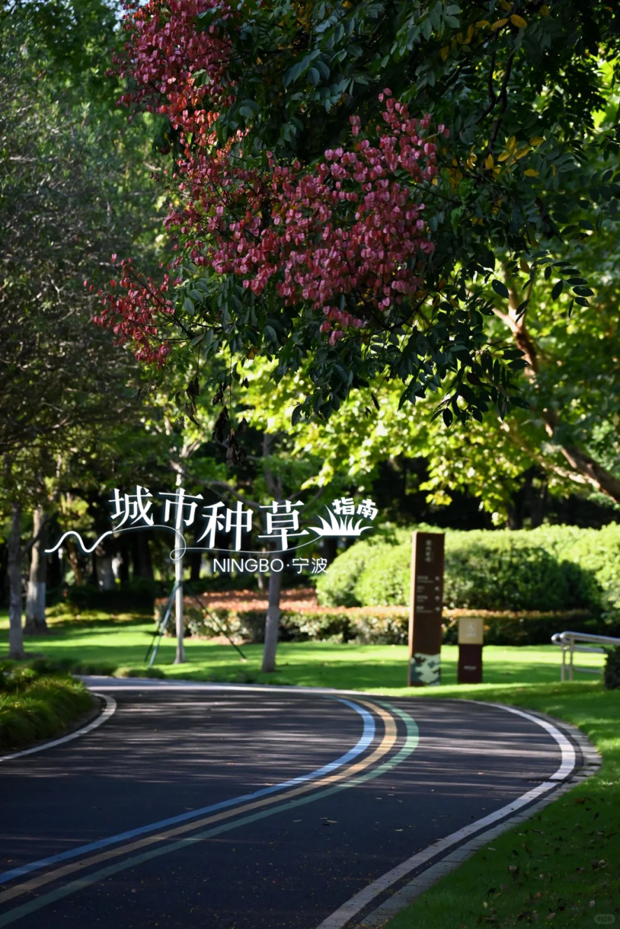 寧波的公園里????_6_圖圖拾光_來自小紅書網頁版.png