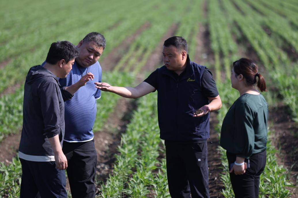 中国太保农险工作人员介绍黑龙江黑土地特点