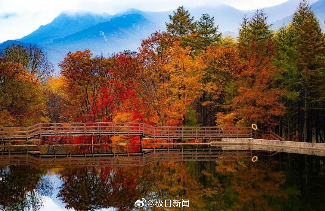 辽宁老边沟禁止游客捡枫叶？景区回应