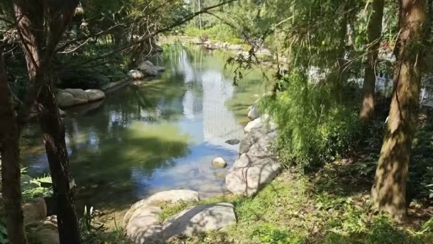 静谧的园林小溪，仿佛置身世外桃源🌿🍃