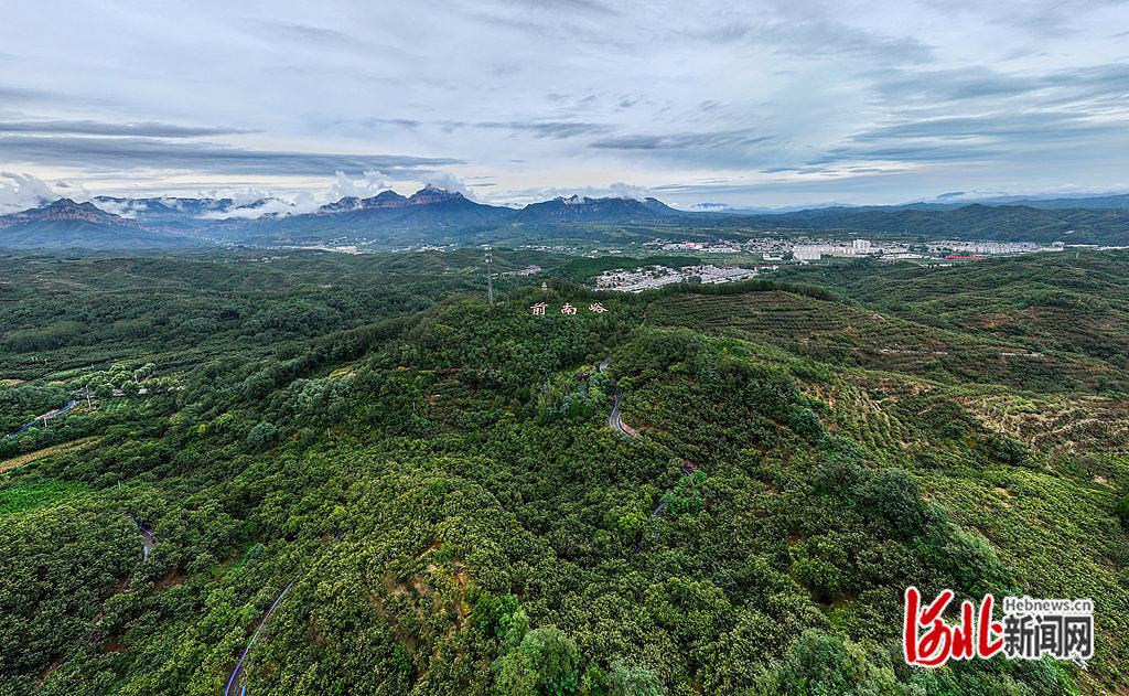 9月17日,无人机拍摄的“太行山最绿的地方”——邢台市信都区前南峪。