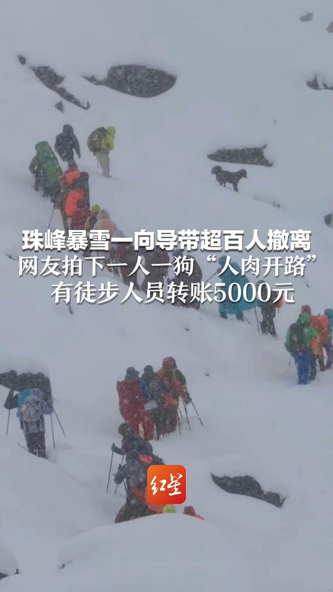 珠峰暴雪一向导带超百人撤离 网友拍下一人一狗“人肉开路” 有徒步人员转账5000元 “感谢挺身而出”