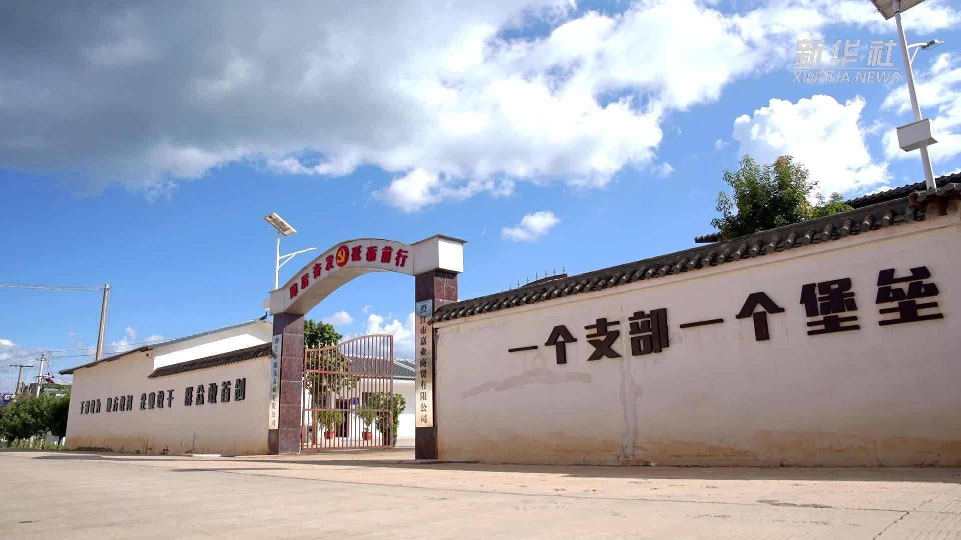 云南澄江：闲置棚变成“蘑菇屋”竹荪带动村民增收致富