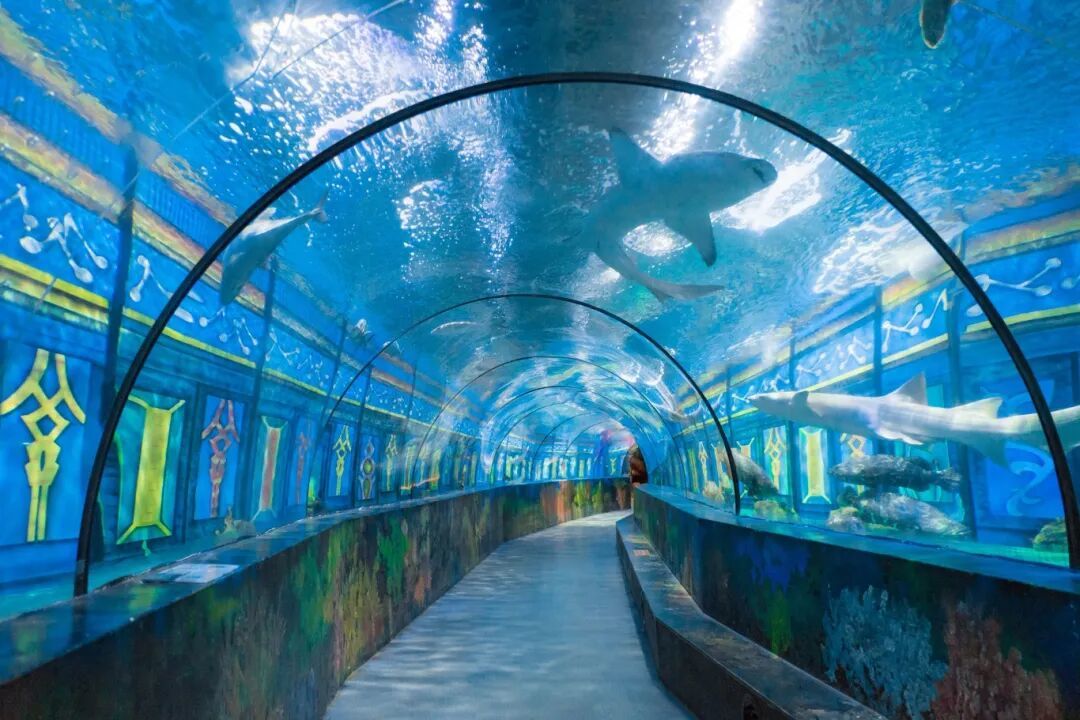 180°隧道_副本(1).jpg