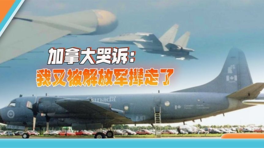 加拿大水平菜，还来东海挑衅