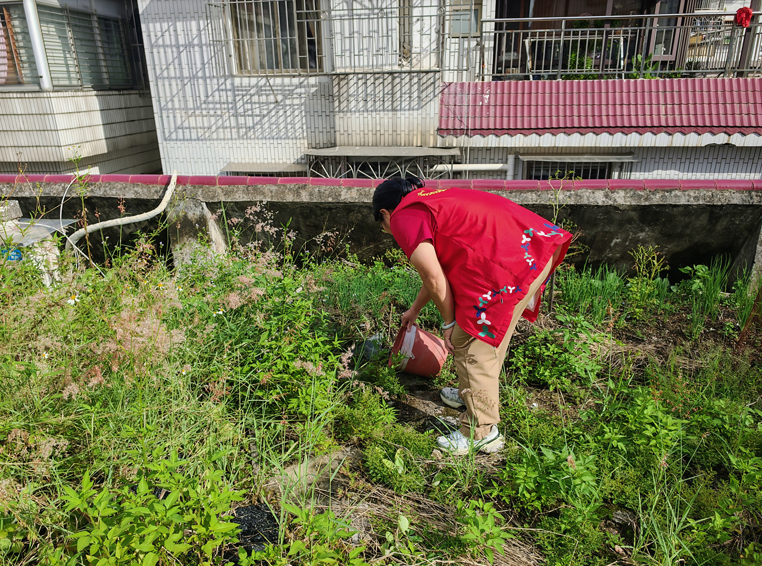 西乡渔业社区开展爱国卫生运动干净整洁迎国庆中秋