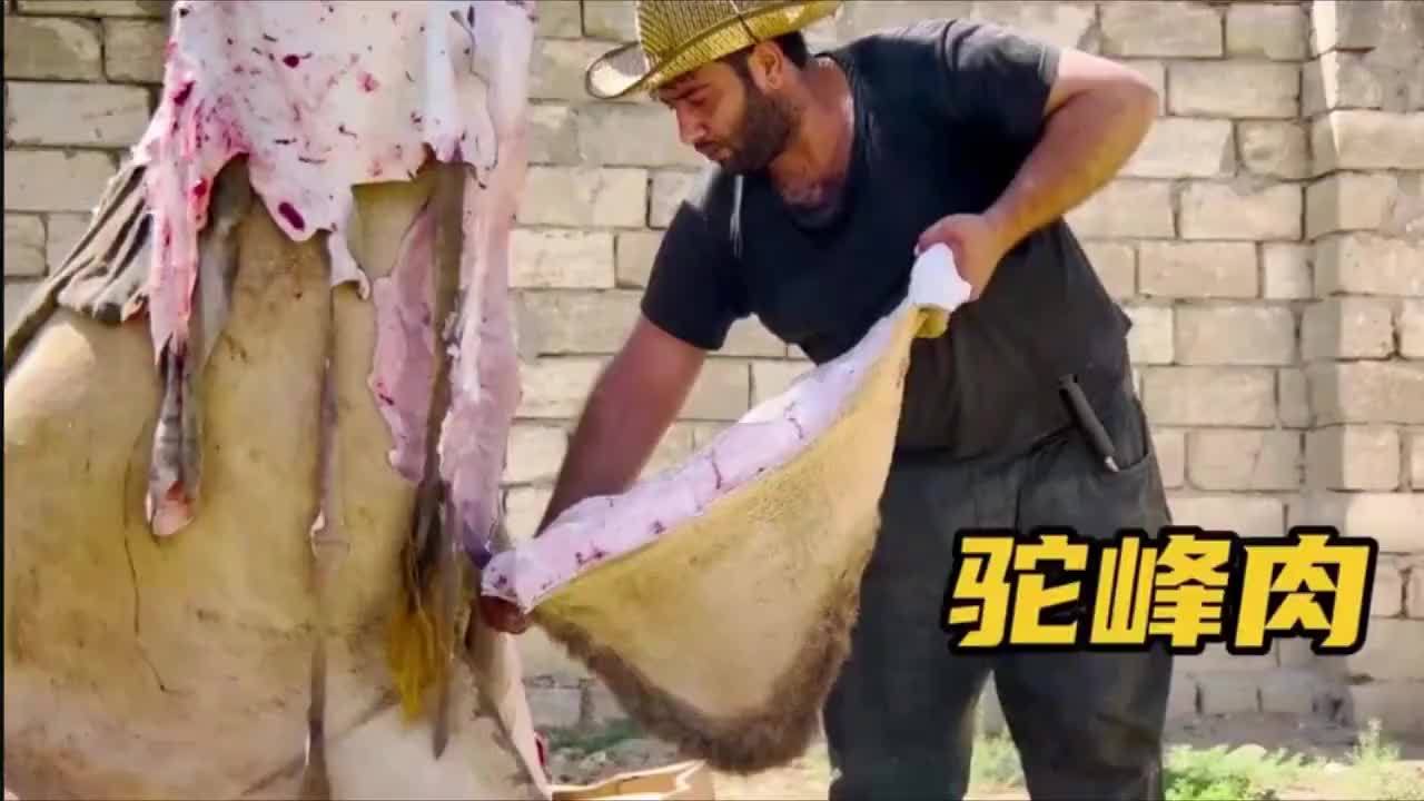 驼峰肉作为土豪级别的下酒硬菜，肥美多汁，大锅焖烤，简直太爽了