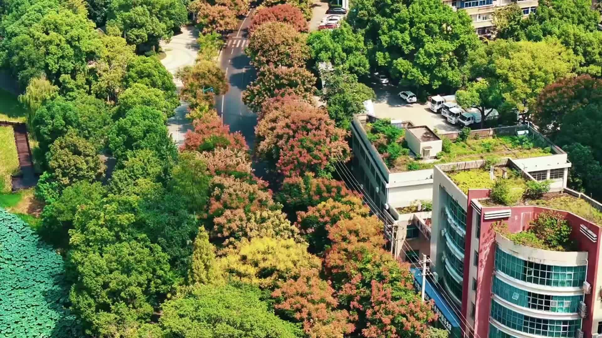 千城百县看中国｜湖南常德：多彩秋韵