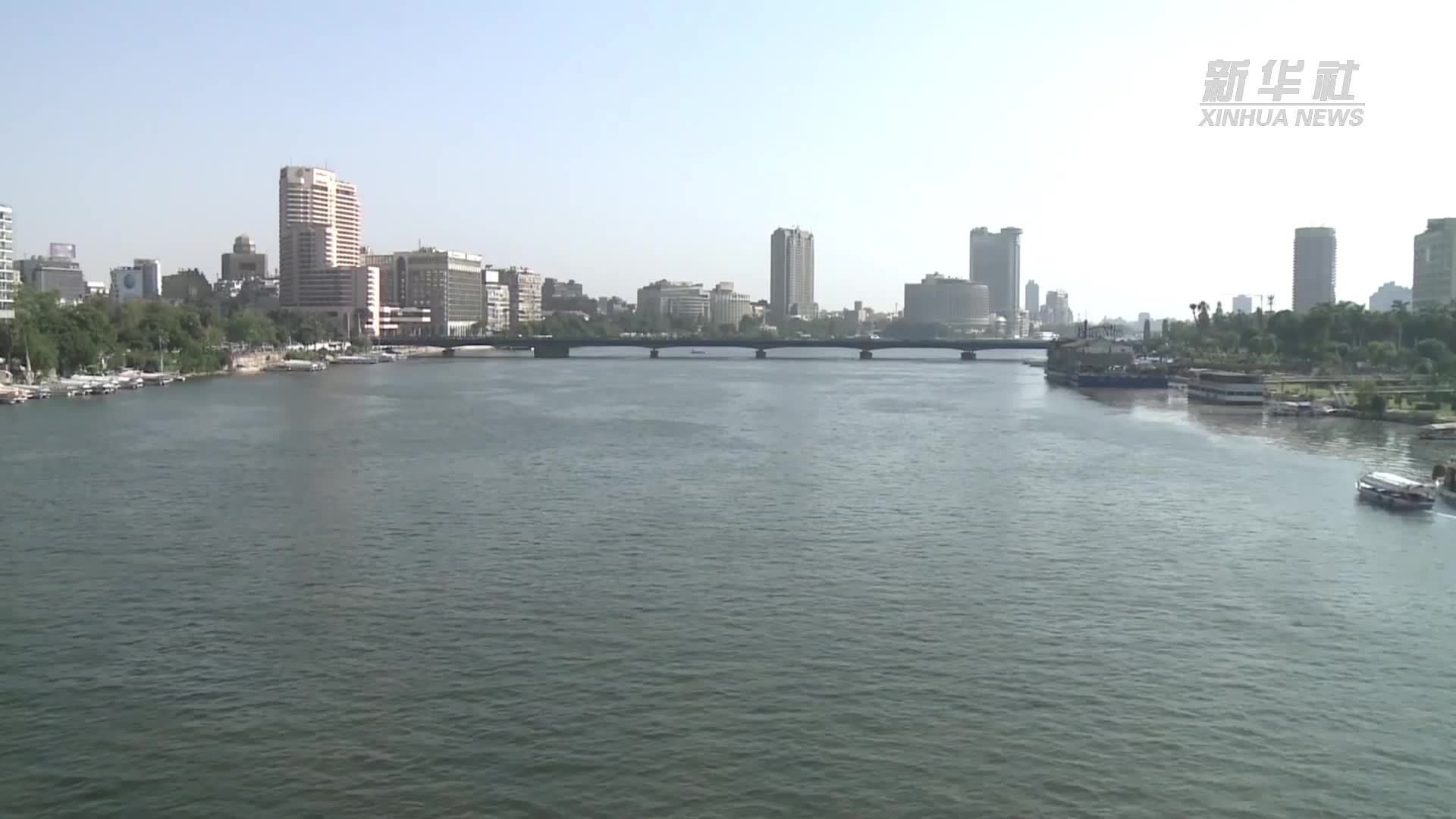 埃及民众欢迎加沙停火协议达成