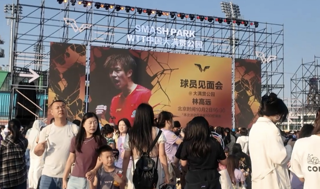 体育网站页面app下载安装市场数据分析图表展示欧美品类增长趋势
