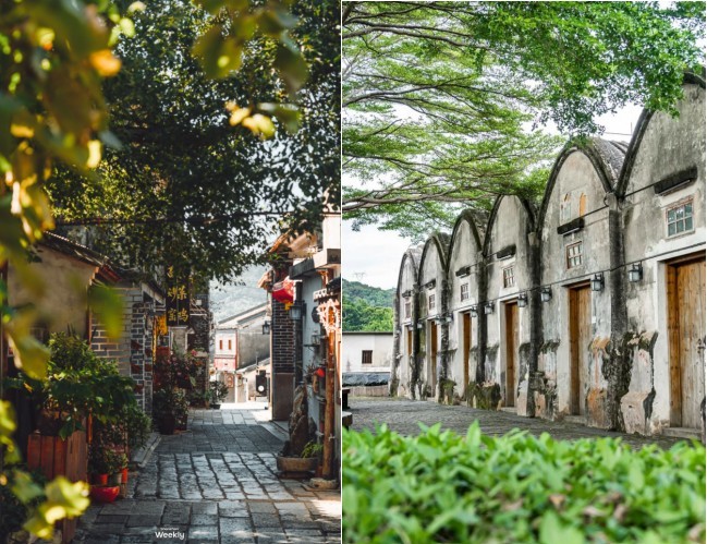 外国网友盛赞的深圳大片，藏着连本地人都不知道的打卡机位