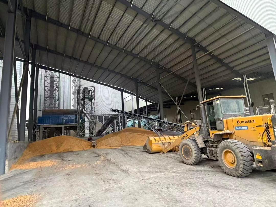 (图源:大众日报)