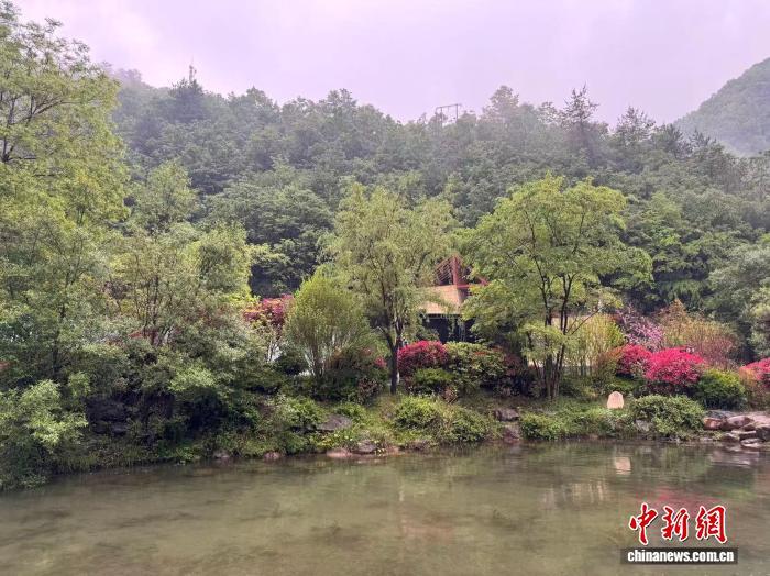 秦嶺腹地一景?！±钜画[ 攝