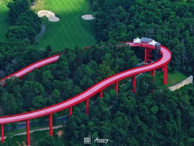 外国网友盛赞的深圳大片，藏着连本地人都不知道的打卡机位