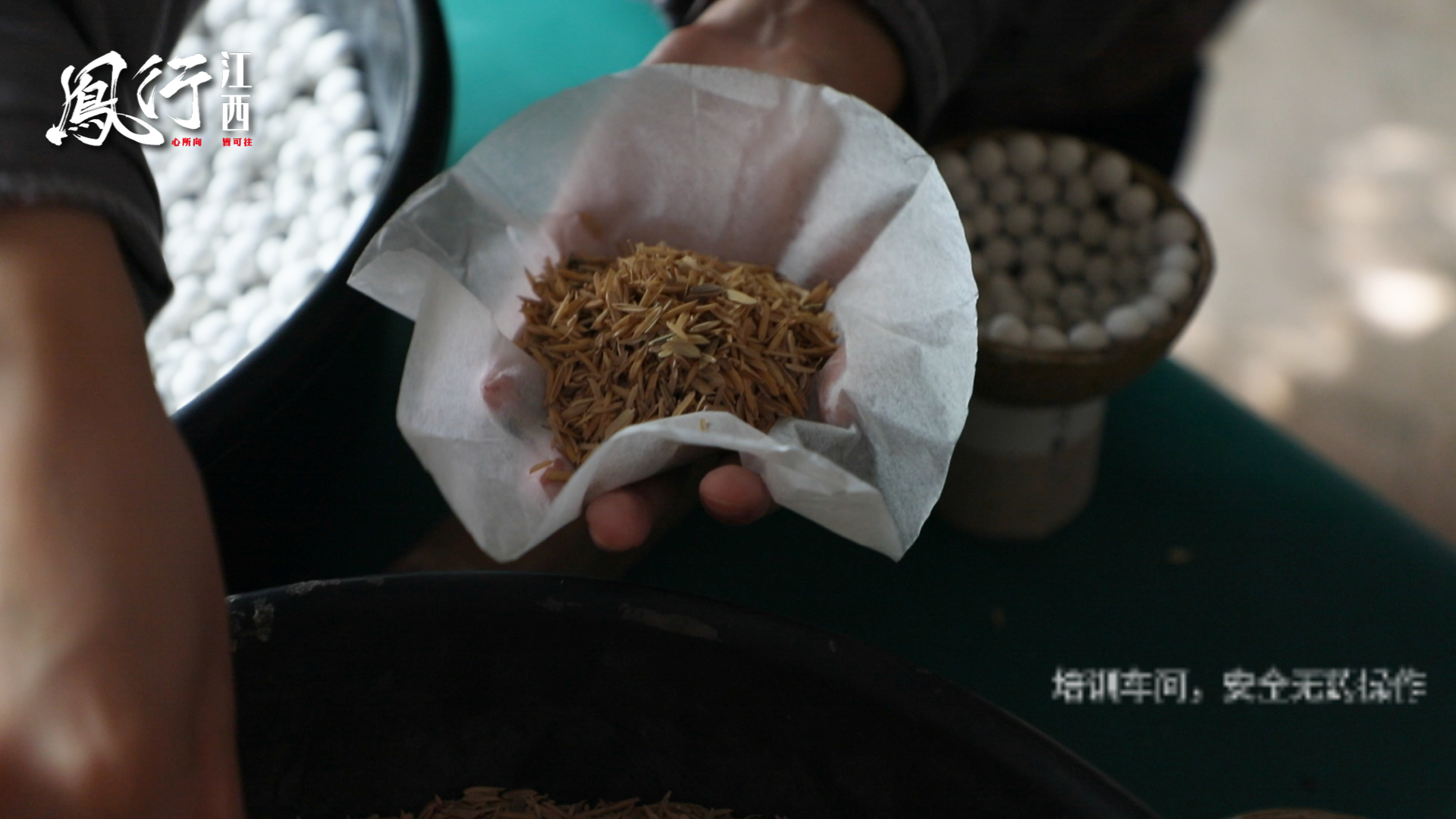 凤行江西:焰耀上栗 花炮之乡(下)