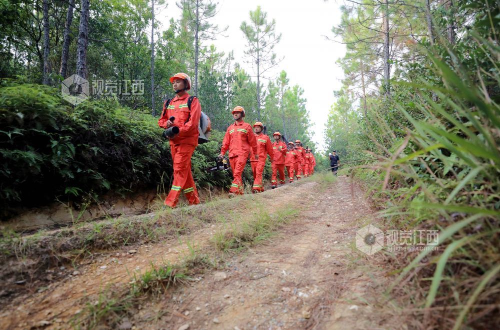 2025年10月15日，江西省吉安市峡江县巴邱镇坳上村，半专业森林扑火队员在进行森林防火巡护。