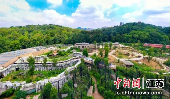 南京市红山森林动物园南门新区全貌。南京市红山森林动物园 供图