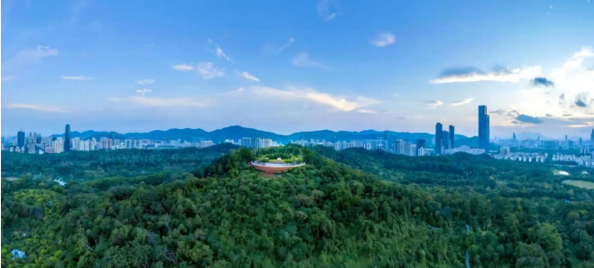 外国网友盛赞的深圳大片，藏着连本地人都不知道的打卡机位