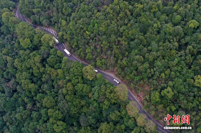 10月16日,车辆在蜿蜒的江西庐山登山公路上行驶。(无人机照片)中新社记者 刘占昆 摄