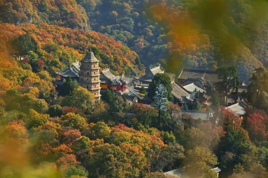 📷摄影丨刘小义