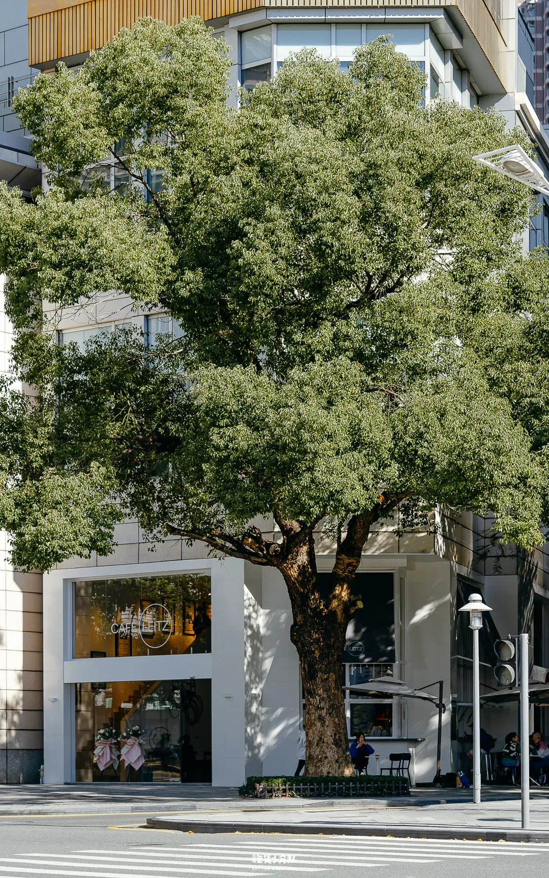 “米其林美食节”来啦