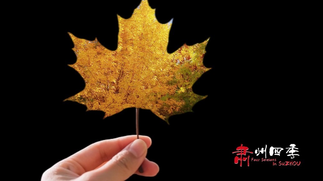 偷得浮生半日闲　醉在甘肃肃州一场秋