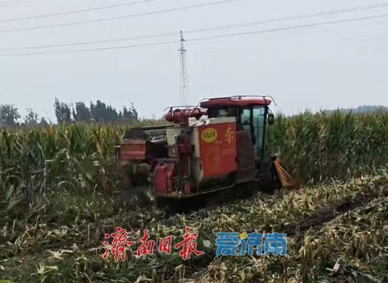 图源：济南日报·爱济南