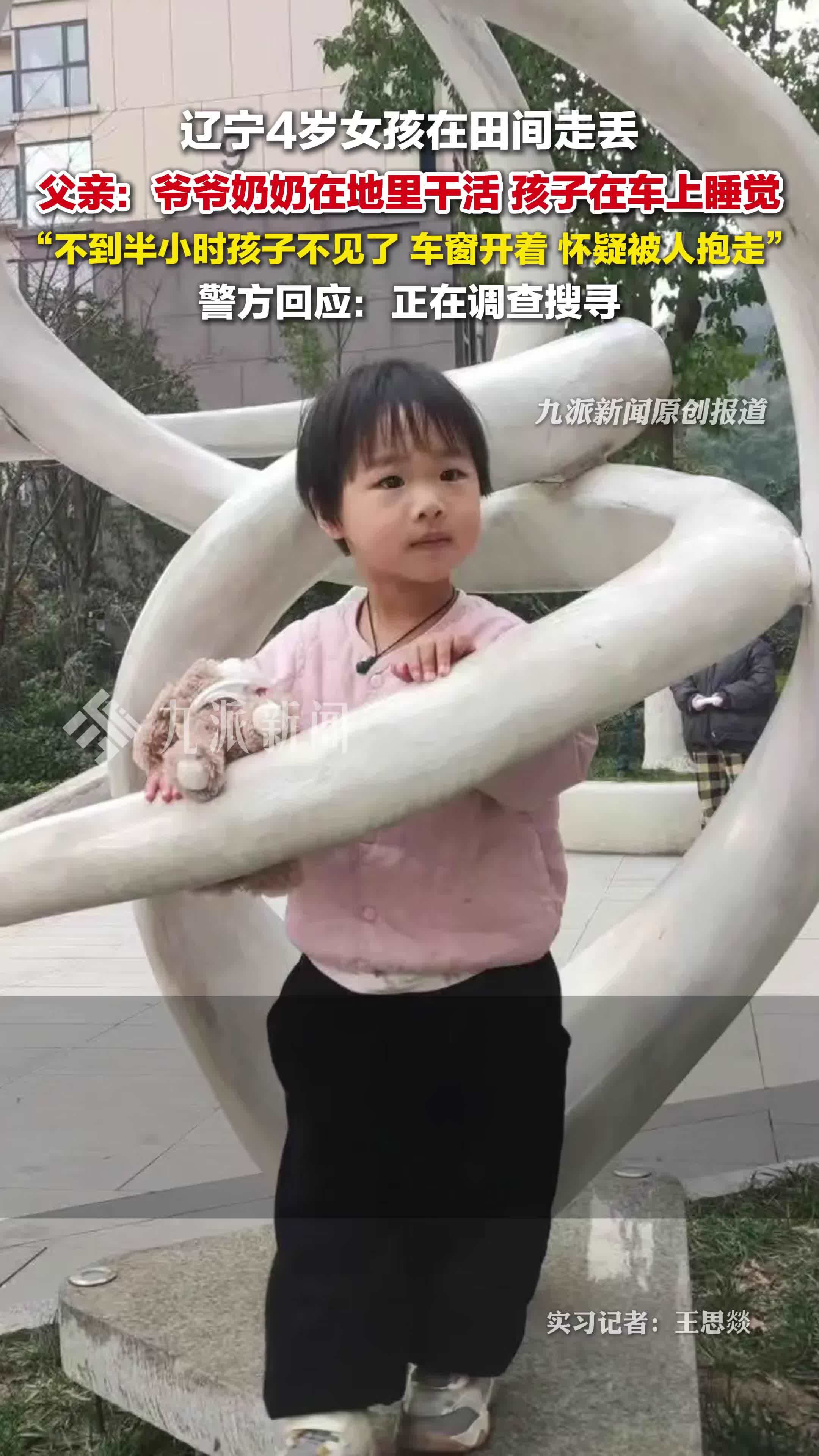 辽宁4岁女童在田间走失，父亲：爷爷奶奶下地干活，孩子在车上睡觉，不到半小时不见了