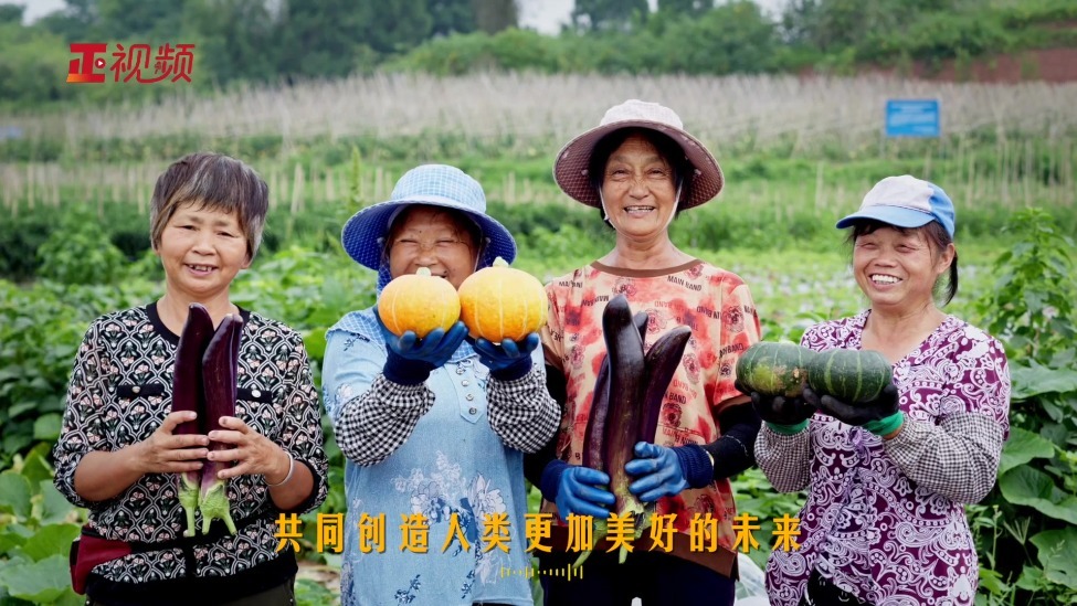 学习时节｜时光里的她