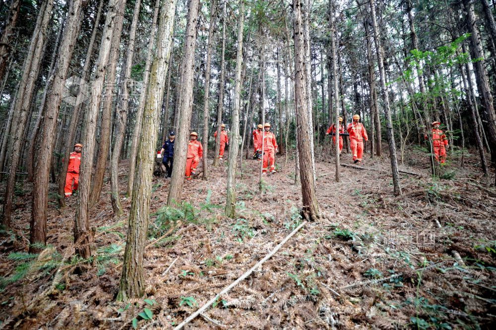 2025年10月15日，江西省吉安市峡江县巴邱镇坳上村，半专业森林扑火队员在进行森林防火巡护。