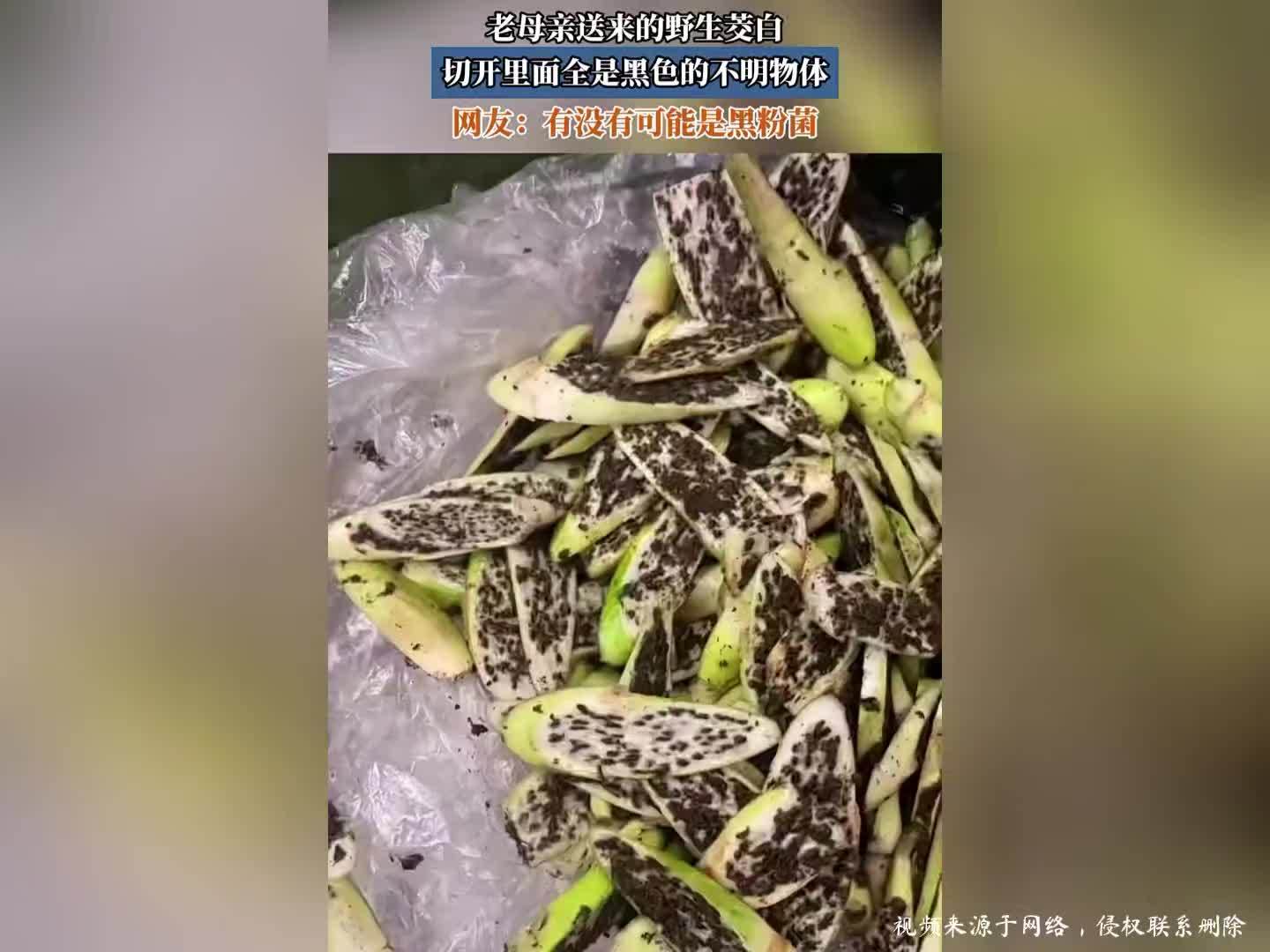 老母亲送来的野生茭白，切开里面全是黑色的不明物体