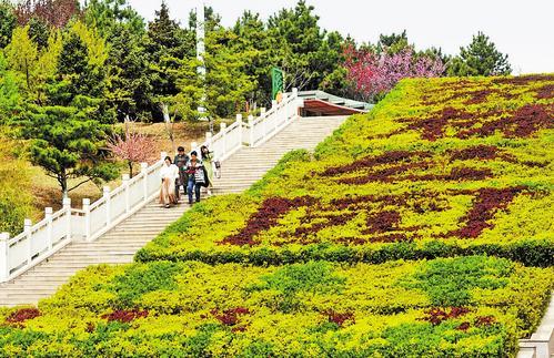 金秋时节，游客在古冶区金山森林公园游玩。万丽丽摄