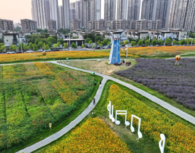 南昌：城市花海