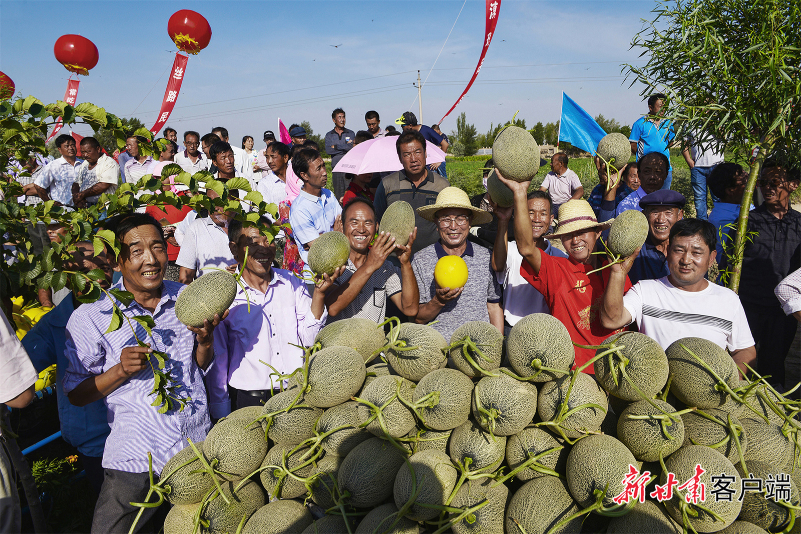 甜瓜获丰收　甘肃省农业农村厅提供